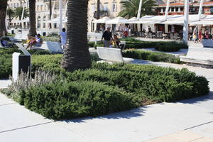 bench, bush, Croatia, day, eye level view, shrub, Splitsko-Dalmatinska, summer, sunny