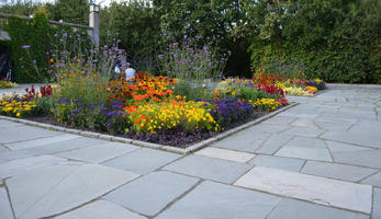 autumn, day, diffuse, diffused light, eye level view, flower, flowering, garden, Norway, Oslo, Oslo