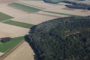 aerial view, Austria, day, field, forest, natural light, sunny, vegetation, Vienna, Wien