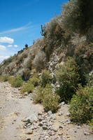 Arequipa, Arequipa, autumn, bush, day, eye level view, mountain, natural light, Peru, sunny, Valley of Volcanoes, vegetation