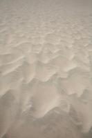 day, desert, direct sunlight, eye level view, Ica, Peru, spring, sunlight, sunny, sunshine