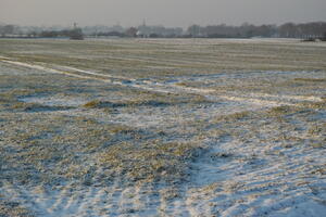 Poland, Wielkopolskie