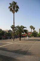 Barcelona, Cataluña, day, eye level view, palm, path, Spain, sunny, tropical, vegetation