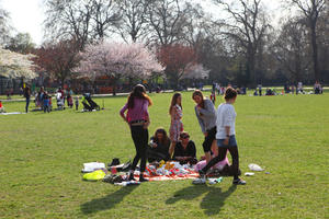 blooming, blossom, day, England, eye level view, group, London, park, people, picnicking, sitting, spring, sunny, The United Kingdom