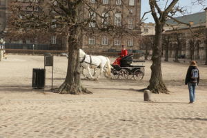 carriage, Copenhagen , day, Denmark, eye level view, Kobenhavn, square, sunny, winter