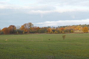 Poland, Wielkopolskie