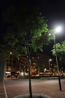 artificial lighting, Bilbao, eye level view, night, Pais Vasco, Spain, vegetation