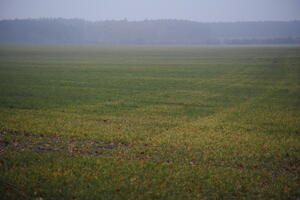 Poland, Wielkopolskie