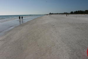 beach, couple, day, eye level view, Florida, Sarasota, seascape, sunny, sunshine, The United States, walking, winter
