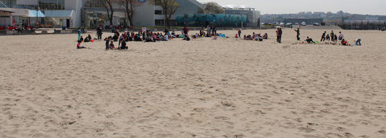 beach, Boulogne-sur-Mer, children, day, eye level view, France, group, Nord-Pas-de-Calais, people, playing, spring, sunbathing, sunny
