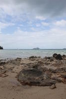 beach, day, eye level view, Ko Phi Phi Don, Krabi, natural light, Thailand