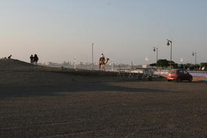 autumn, camel, car, day, direct sunlight, dusk, Essaouira, eye level view, man, Morocco, natural light, riding, street, sunlight, sunshine