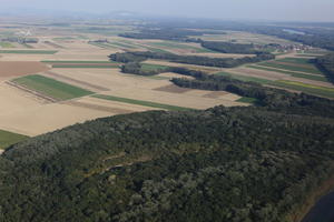 aerial view, Austria, day, field, forest, natural light, vegetation, Vienna, Wien