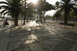 afternoon, autumn, Barcelona, Cataluña, day, eye level view, palm, park, pavement, Phoenix canariensis, Spain, sunny
