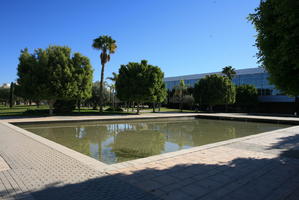 Alicante, day, eye level view, palm, pavement, pond, Spain, sunny, tree, Valenciana