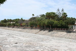 Canarias, day, eye level view, Las Palmas de Gran Canaria, palm, riverbed, Spain, sunny, tree, vegetation